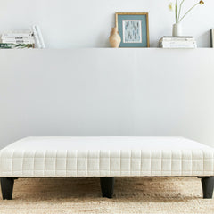 Avocado Green Mattress Luxury Box Spring Low Profile